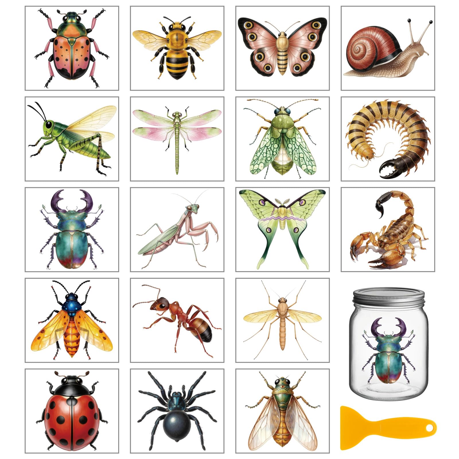 Pegatinas de transferencia para muebles GLOBLELAND de insectos retro y mariposas decorativas