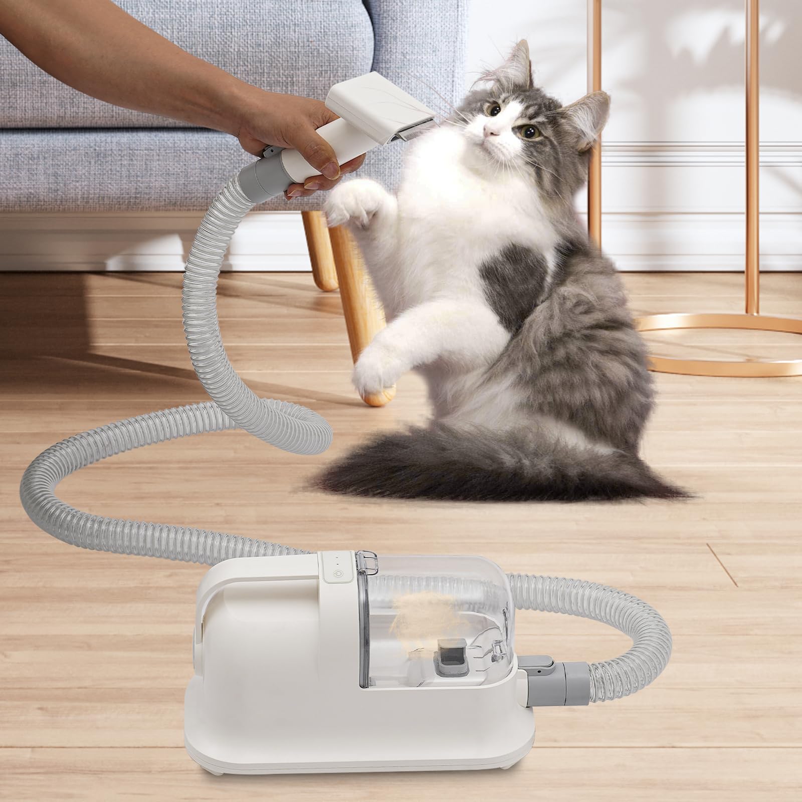Juego de aspiradoras para mascotas, silencioso, cortapelos para perros y gatos, con tijeras eléctricas, cepillo para el cuidado del pelo, peine 11800 PA, aspiración de 1,4 l, juego profesional de