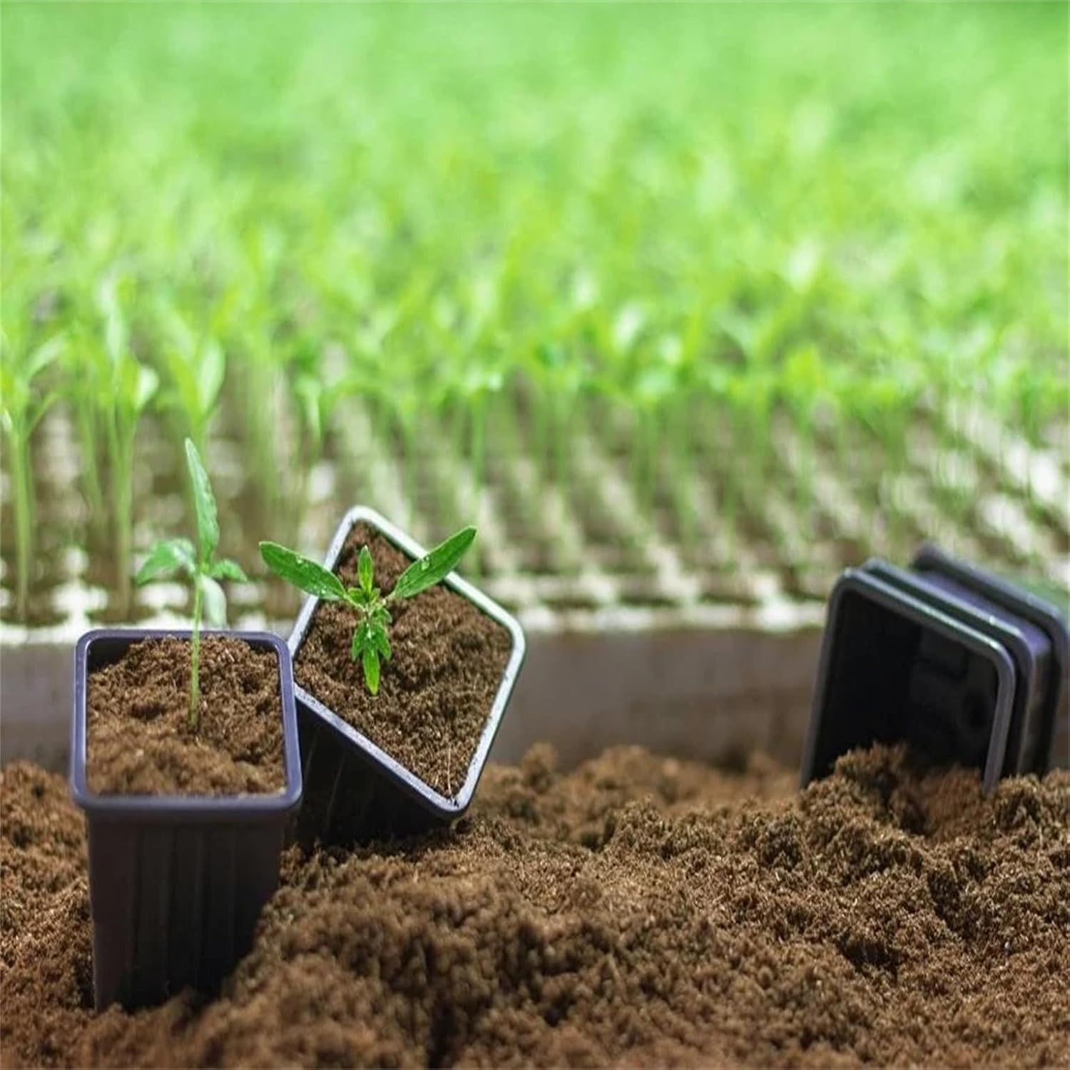 10-Pack 5 Gallon Square Plastic Garden Planter Pots Flower Seedling Container Fit for Indoor Outdoor Plants Seedlings Flowers Vegetables Black