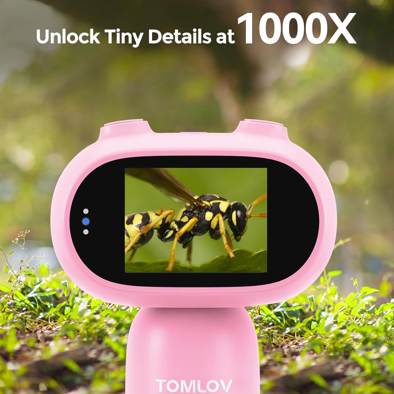 Close-up of TOMLOV P30 screen showing 1000X magnification of a bee