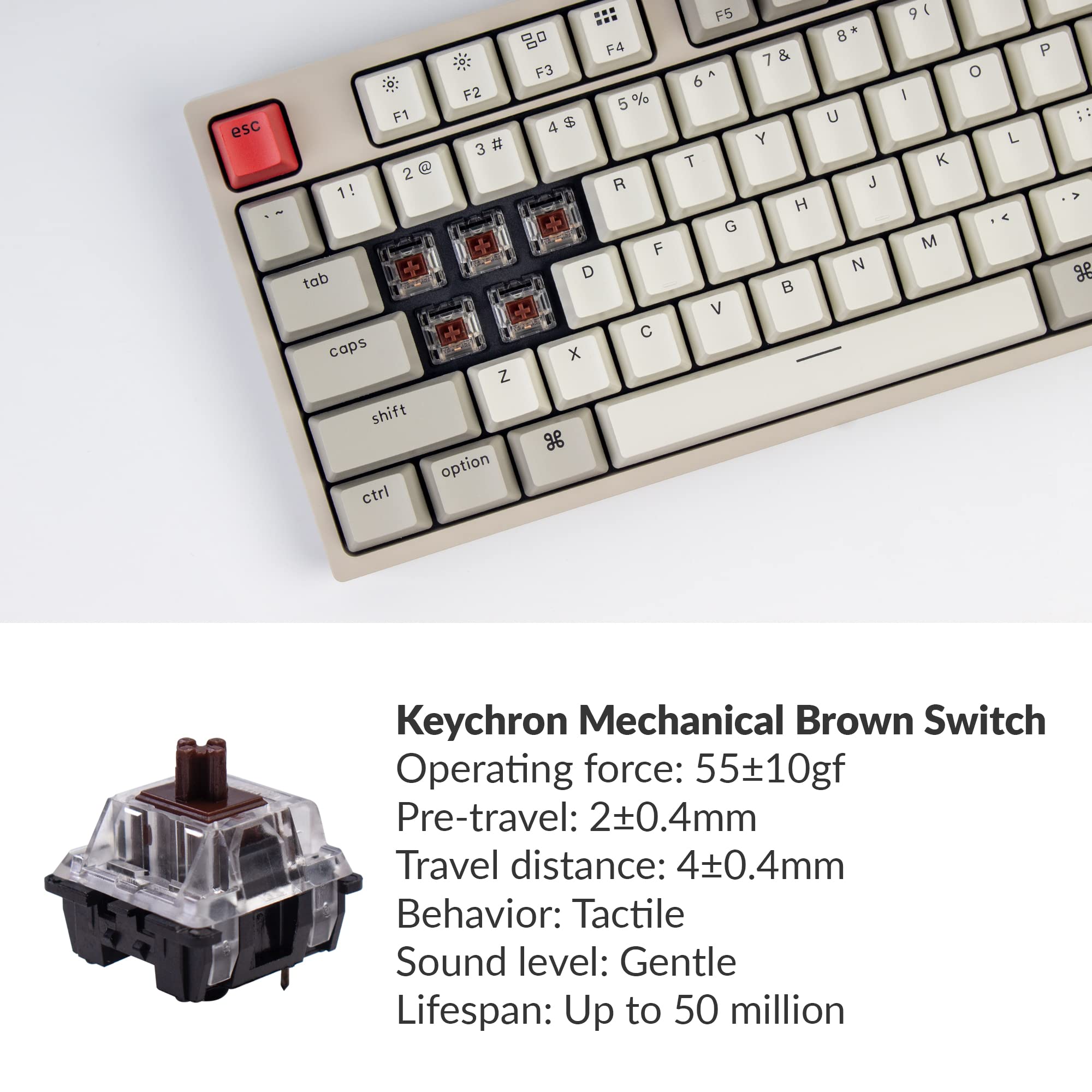 Buy Keychron C1 Tenkeyless Layout 87 Keys Wired Mechanical Keyboard for