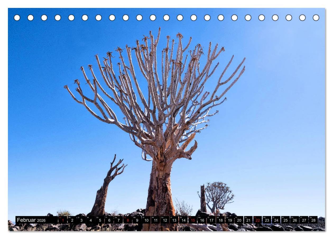 Südliches Afrika - Vom Kap bis zu den Victoria Fällen (Tischkalender 2026 DIN A5 quer), CALVENDO Monatskalender: Eine Reise durch 4 Länder im Südlichen Afrika