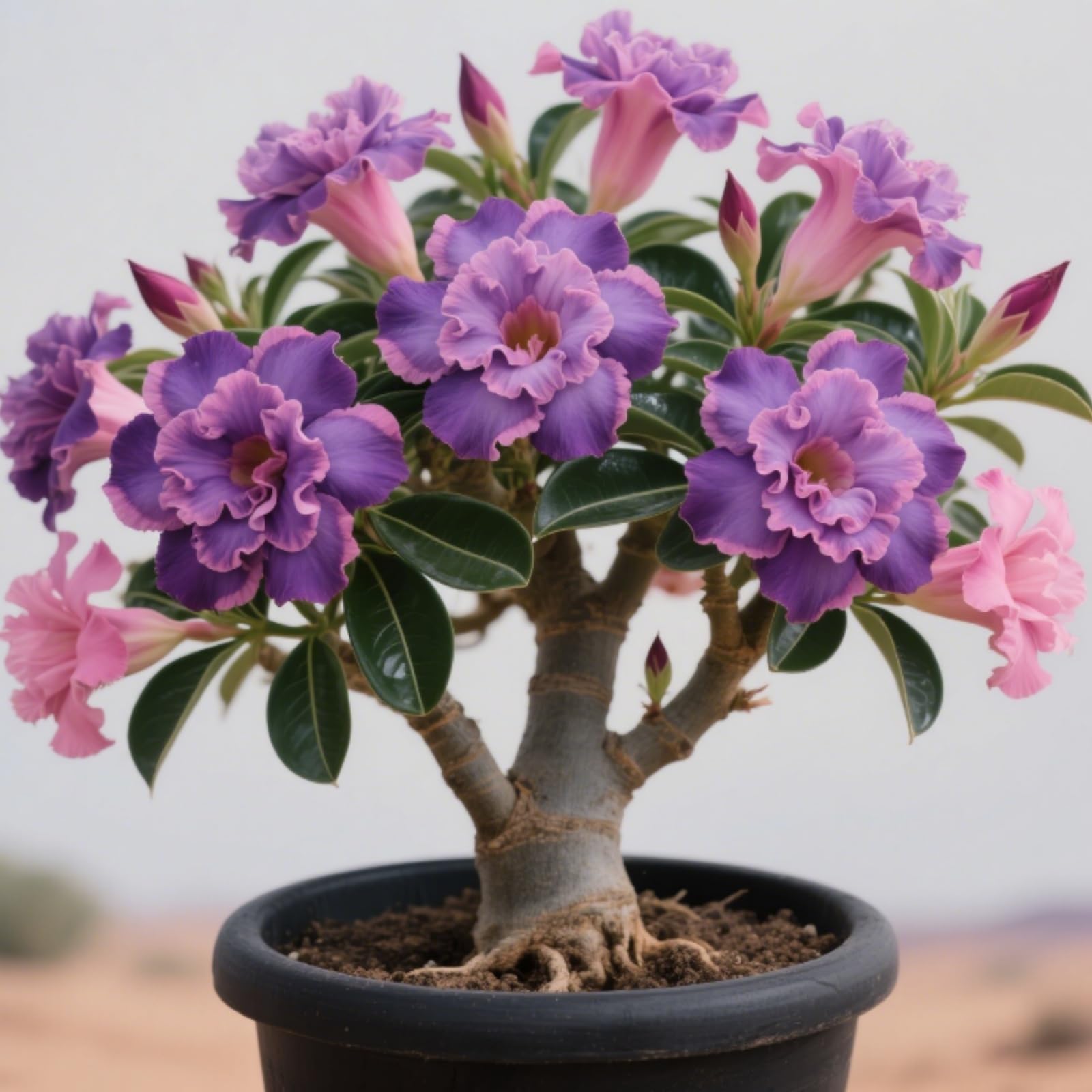 View 2