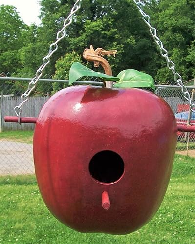 Miniatura 3 de Semillas de calabaza de manzana - Más de 20 unidades - para plantar calabazas ornamentales grandes de 2025, verde y blanco, gran cisne moteado de