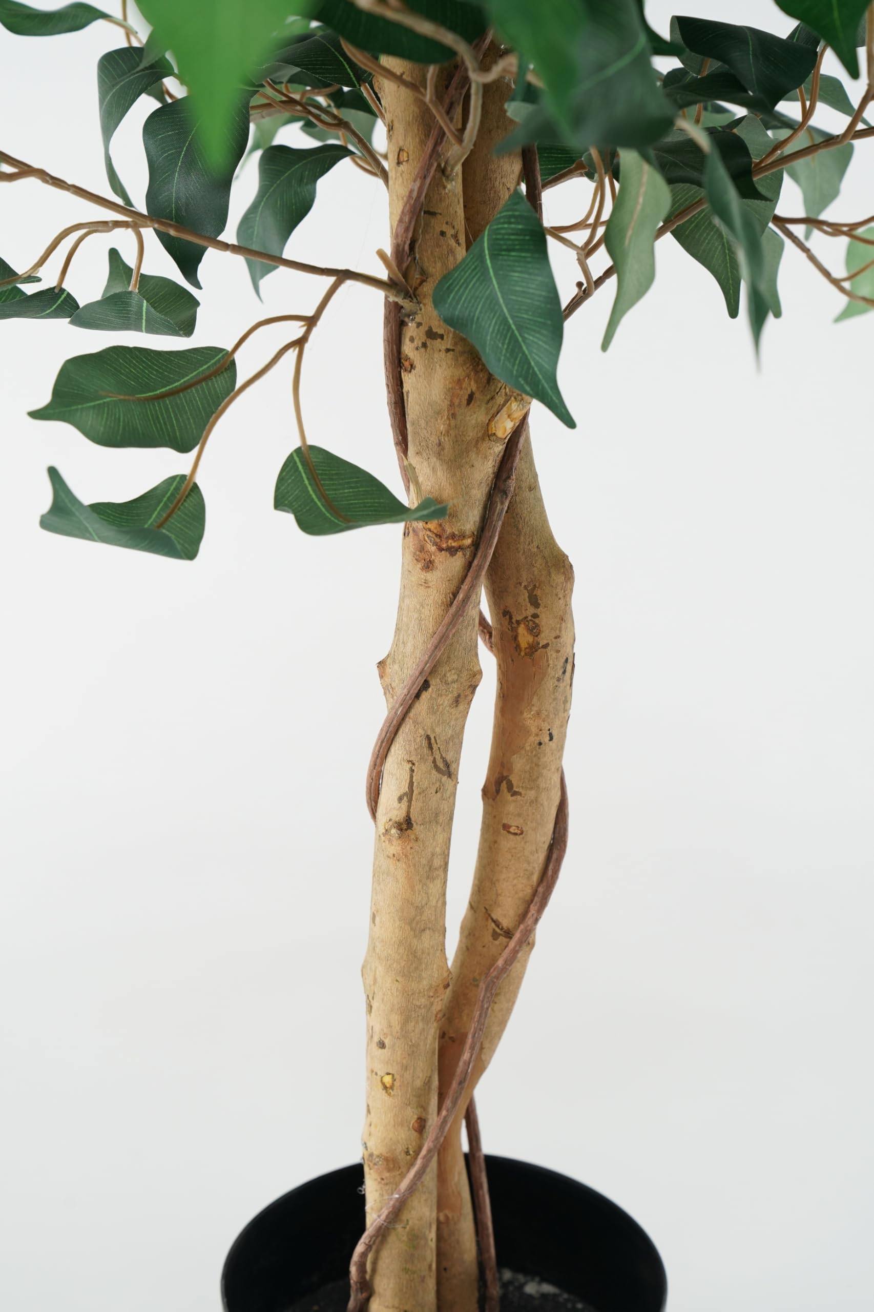 Ficus Benjamin Pianta Sintetica Finta Con Tronchi Intrecciati Legno Naturale e Foglie Poliestere Seta (Ficus-Benjamin 150cm)