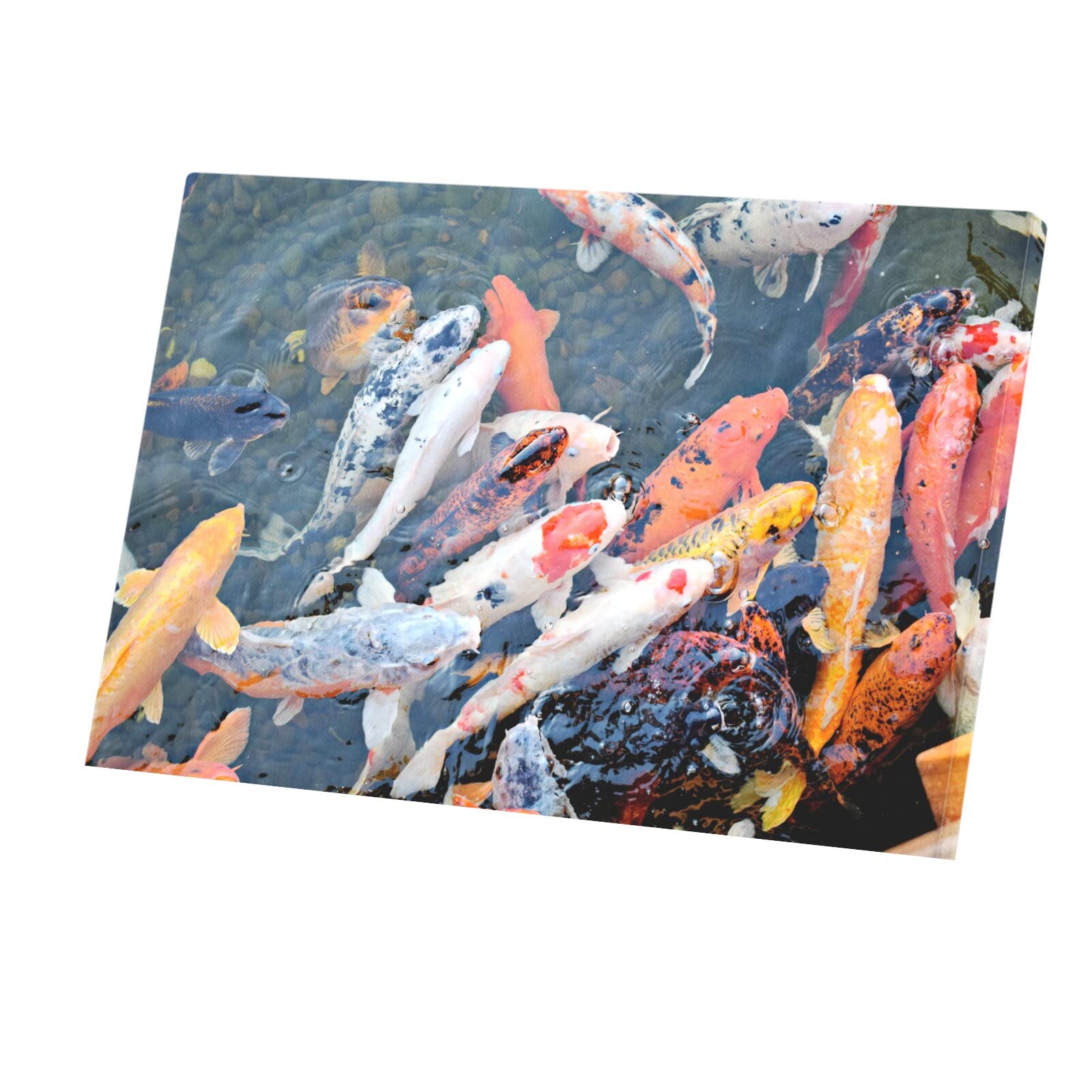 Banc de carpes koi japon affiche poster coloré pour bureau - 4