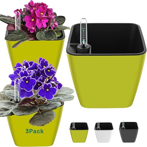 GS Garden Macetas de riego automático de 5 pulgadas para plantas de interior, paquete de 3 macetas de plástico de color violeta africano con