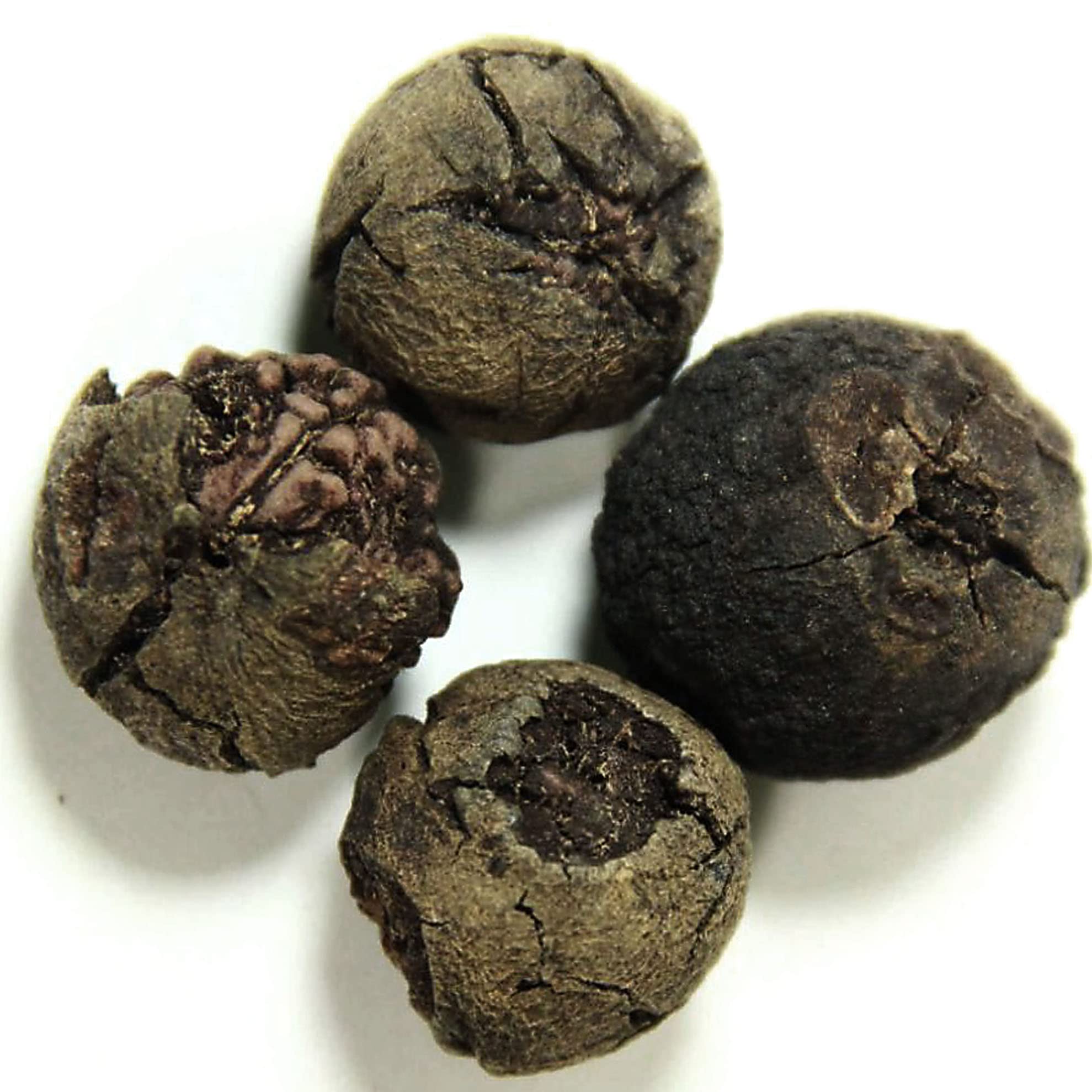 Antiques World - RUDRAKSHA Seeds UNCLEANED Very Rare -. 4 Seeds (B0B7KBBXP6) Amazon Price History, Amazon Price Tracker