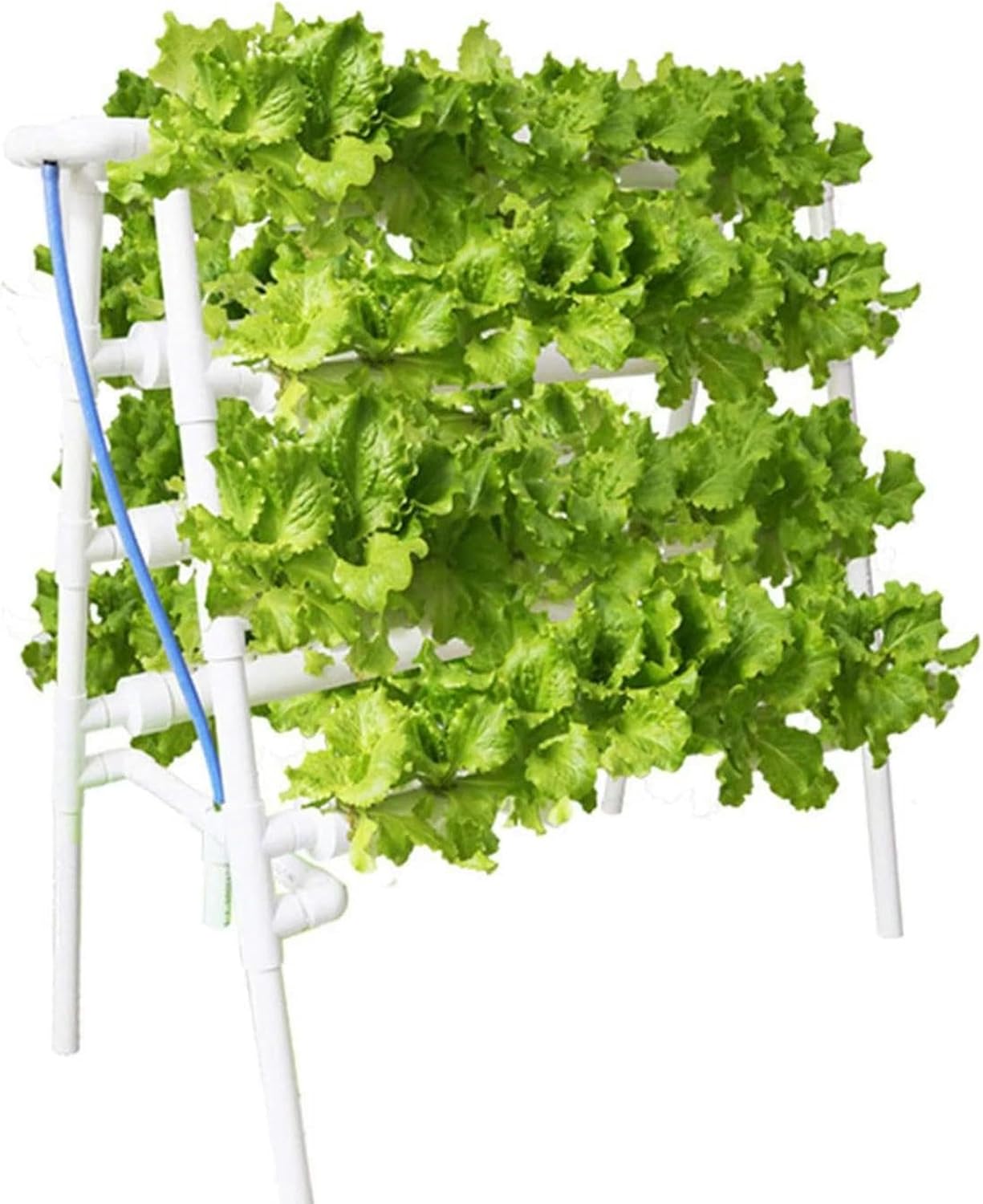 Hydroponic Site Grow Kit, Hydroponic Growing System Water Culture Garden Plant System for Leafy Vegetables Herb~/