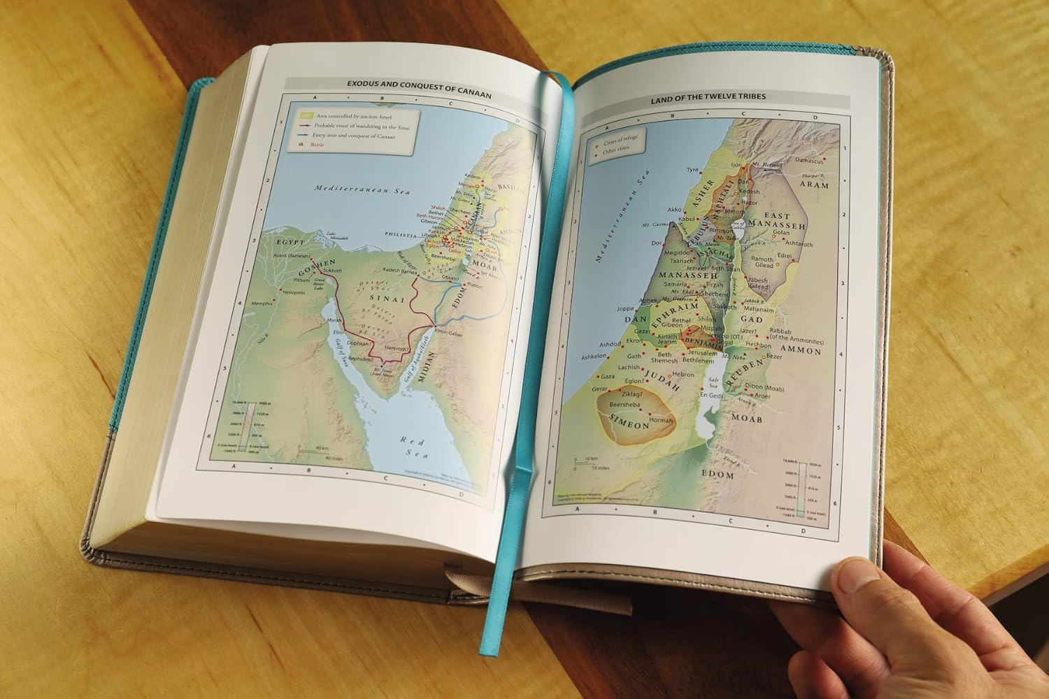 NIV, Personal Size Bible, Large Print, Leathersoft, Teal/Gold, Red Letter, Comfort Print - Image 7