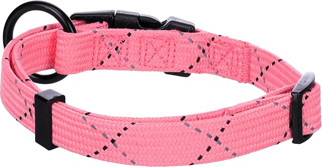 Foto 4 de 5 de Flamingo Collar Cachorro Dolly Rosa Reflectante S 30-45CM 15MM