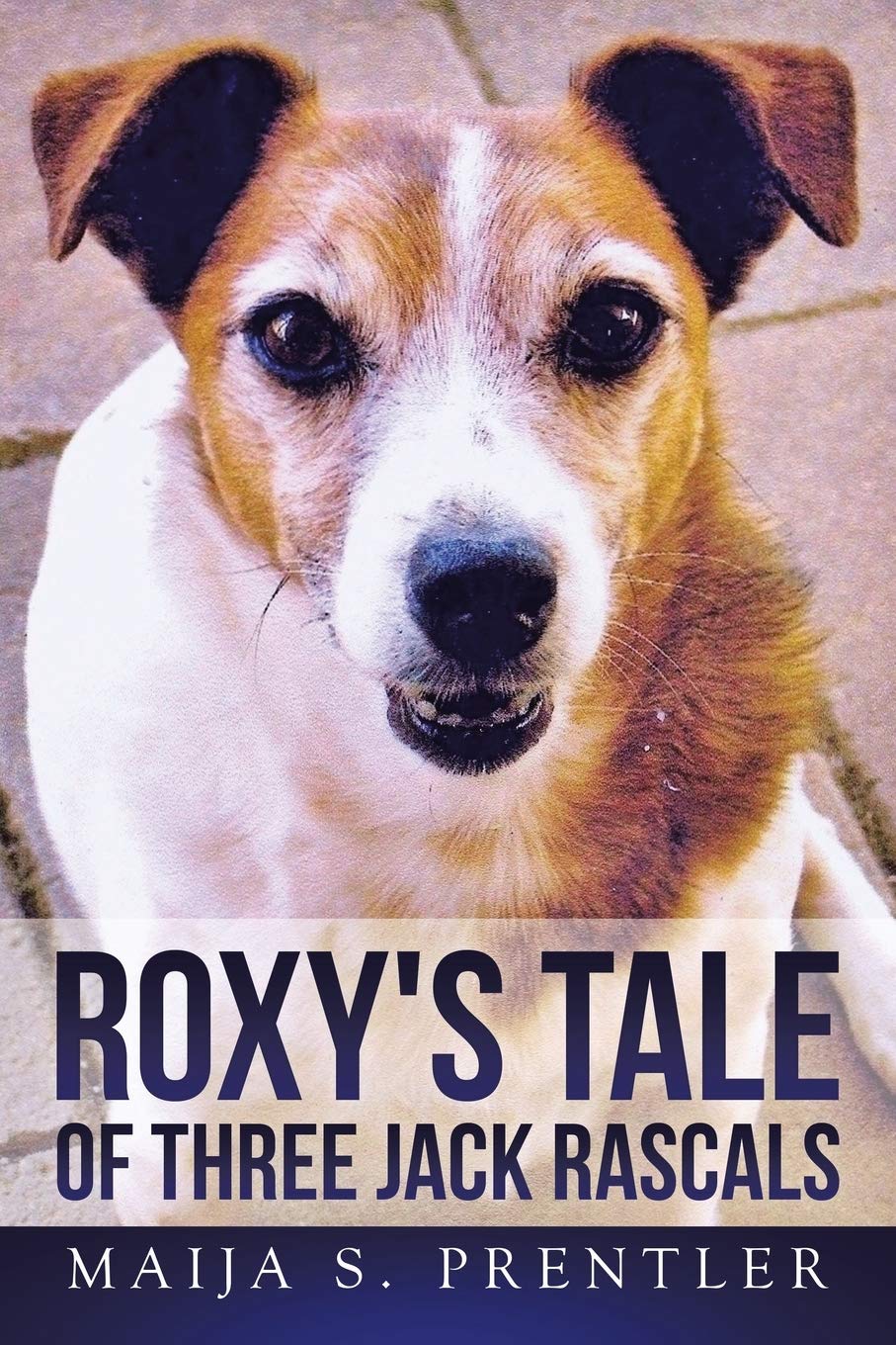 Roxy's Tale Of Three Jack Rascals