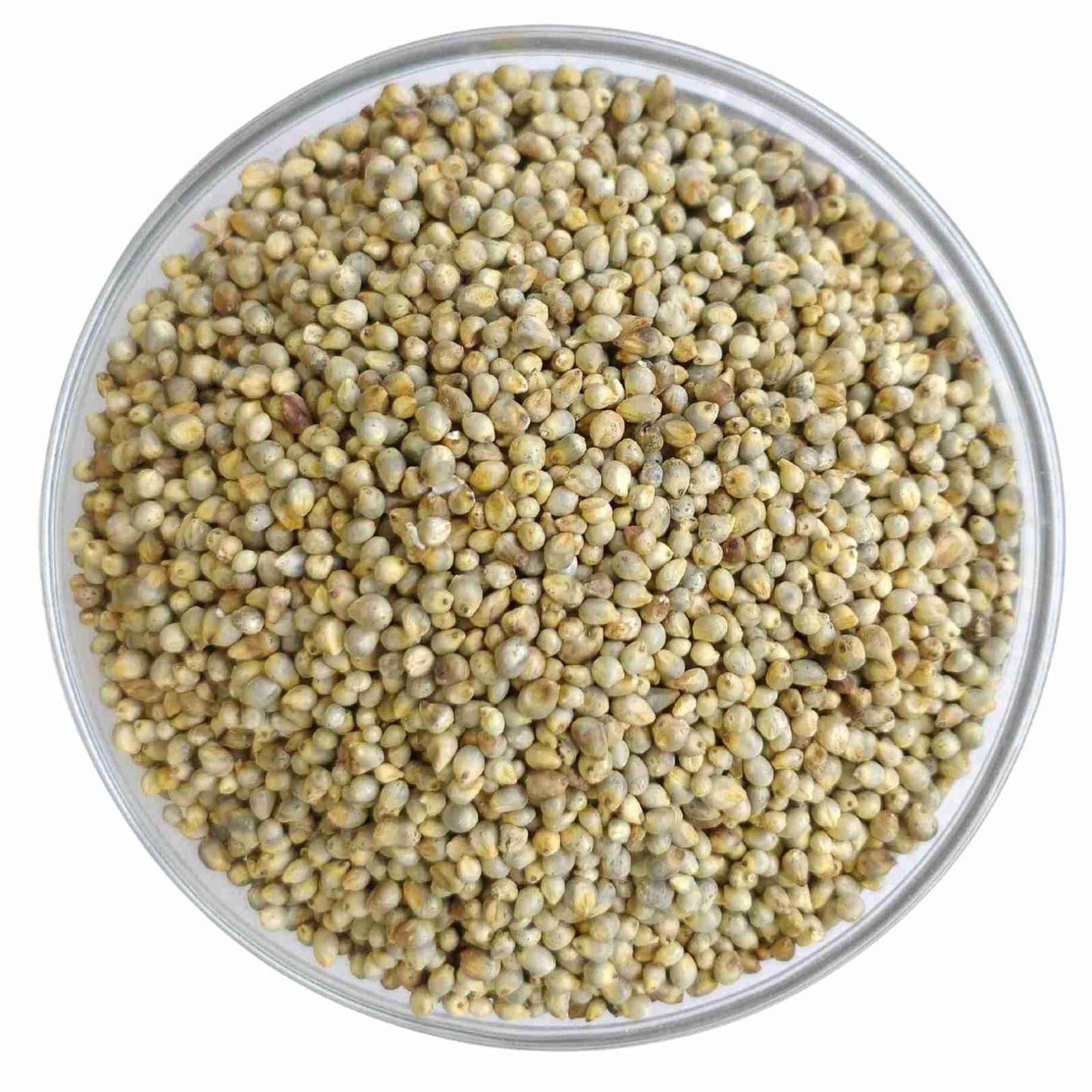 SANJU Peral Millet (Bajra), Bird Food for All Life Stages Canary, Finches, Waxbills, Budgies, Lovebirds, Cockatiels, Parrots & Parakeets, 450 g (B0D3PYDZL9) Amazon Price History, Amazon Price Tracker