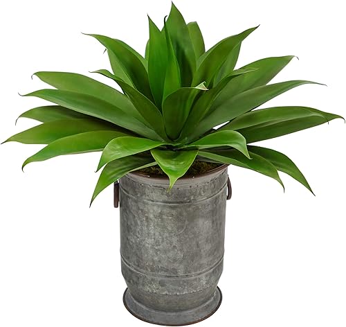 Nearly Natural Planta artificial suculenta de agave de 26 pulgadas en maceta de metal vintage