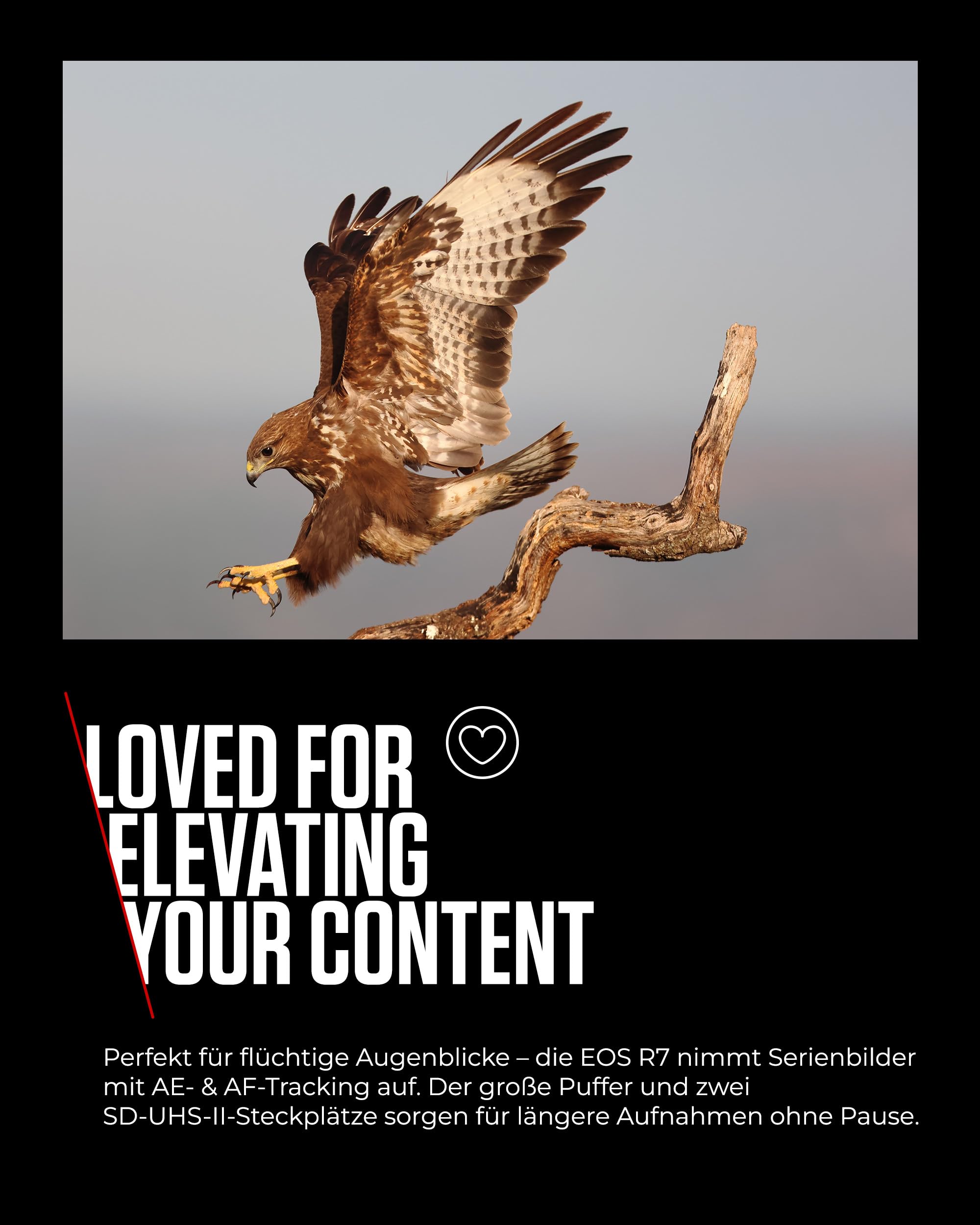 Canon EOS R7 Systemkamera mit RF-S 18–150mm Objektiv – 32,5 MP APS-C CMOS-Sensor – Dual Pixel CMOS AF II, integrierte Bildkombination, UVC/UAC-kompatibel - Perfekt, um Naturmomente einzufangen