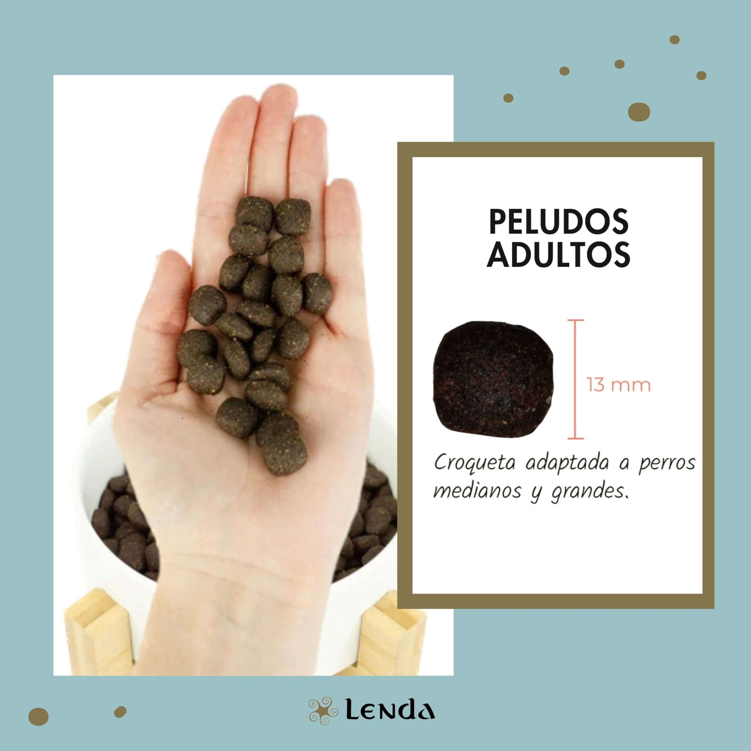 Lenda Salmón - Pienso para Perros Rico En Salmón |Comida para Perros Jóvenes y Adultos de Todas Las Razas | Pienso para Perro Natural (12 KG)