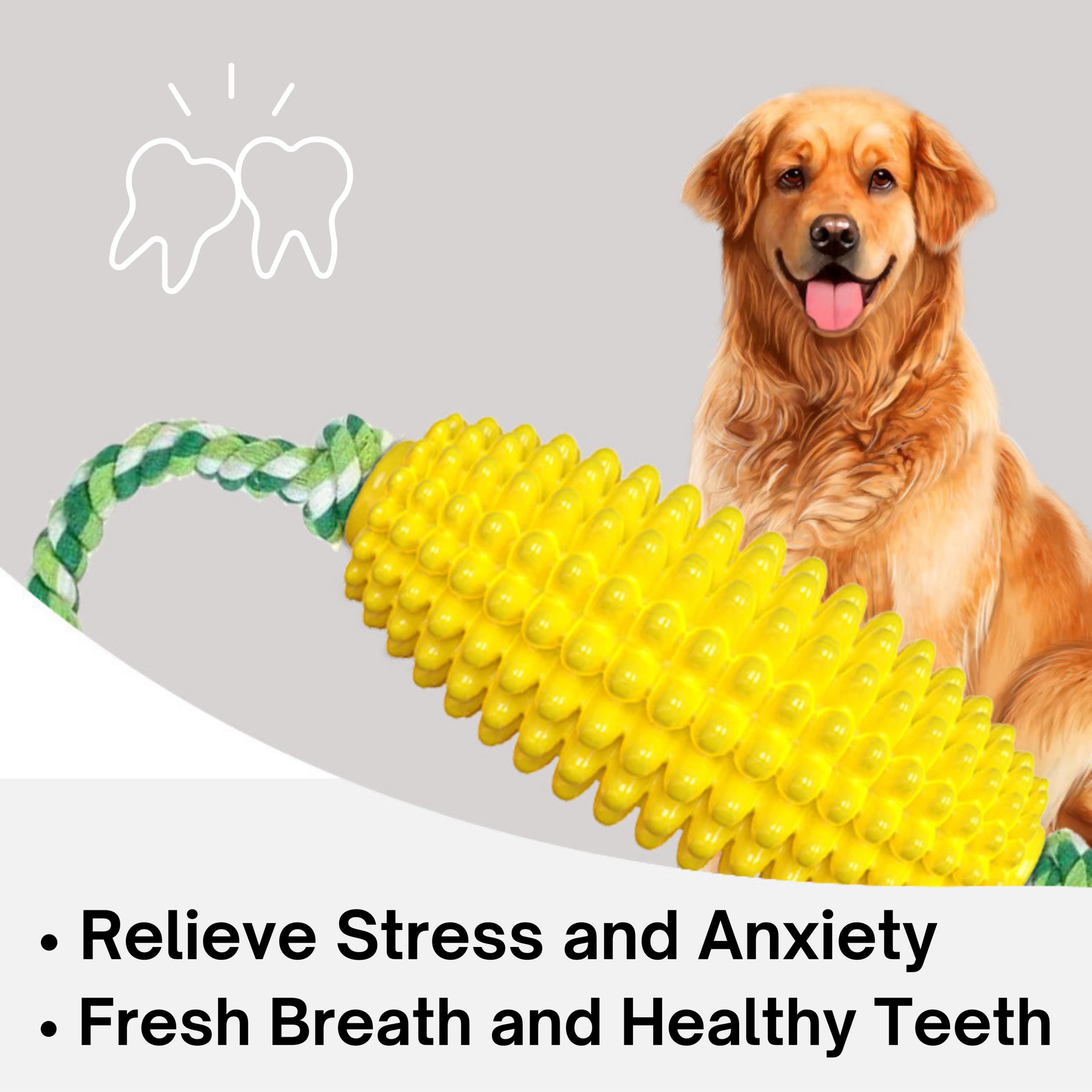 Is Corn Good For Dogs