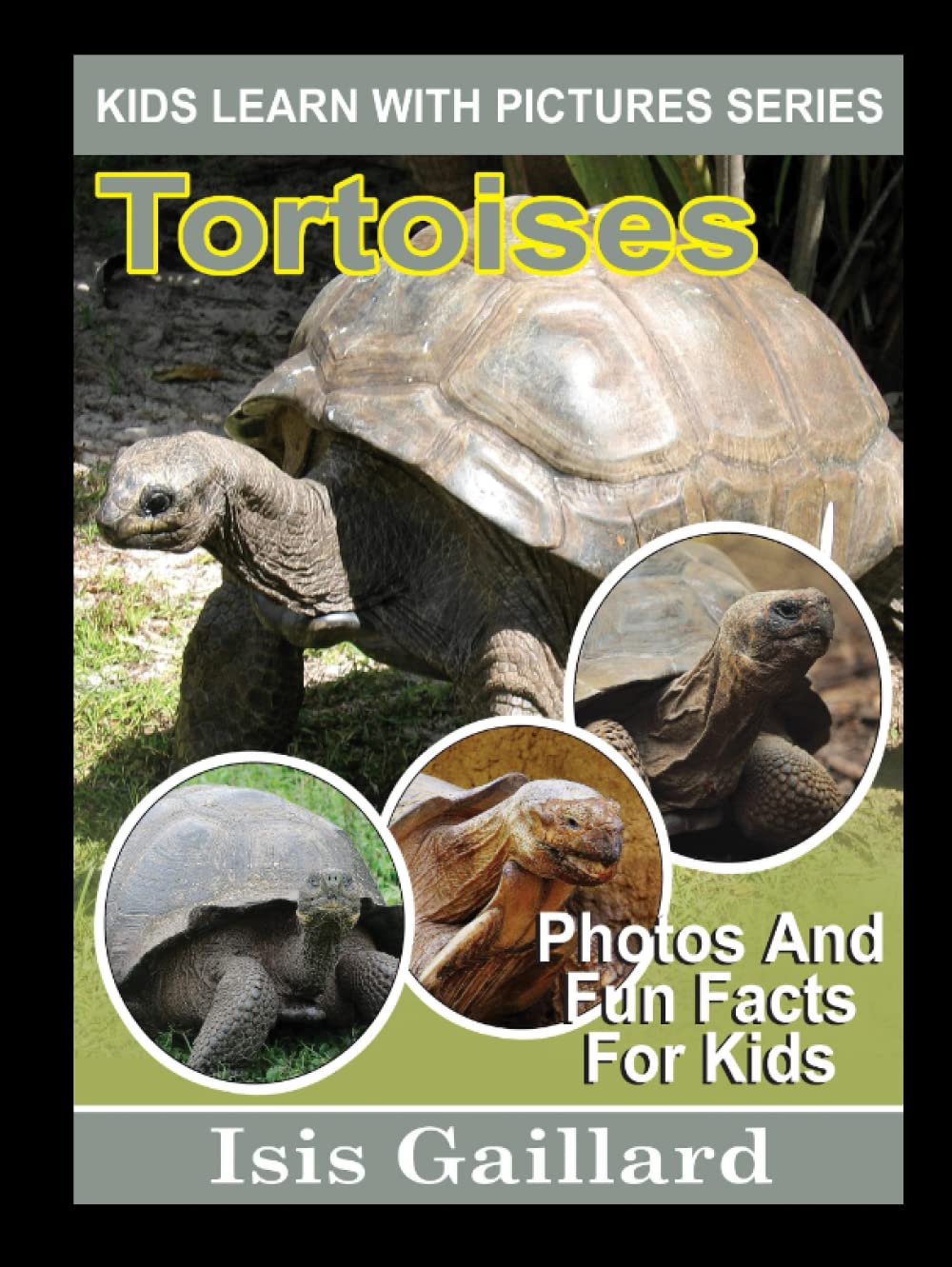 Tortoises: Photos and Fun Facts for Kids (Kids Learn With Pictures)