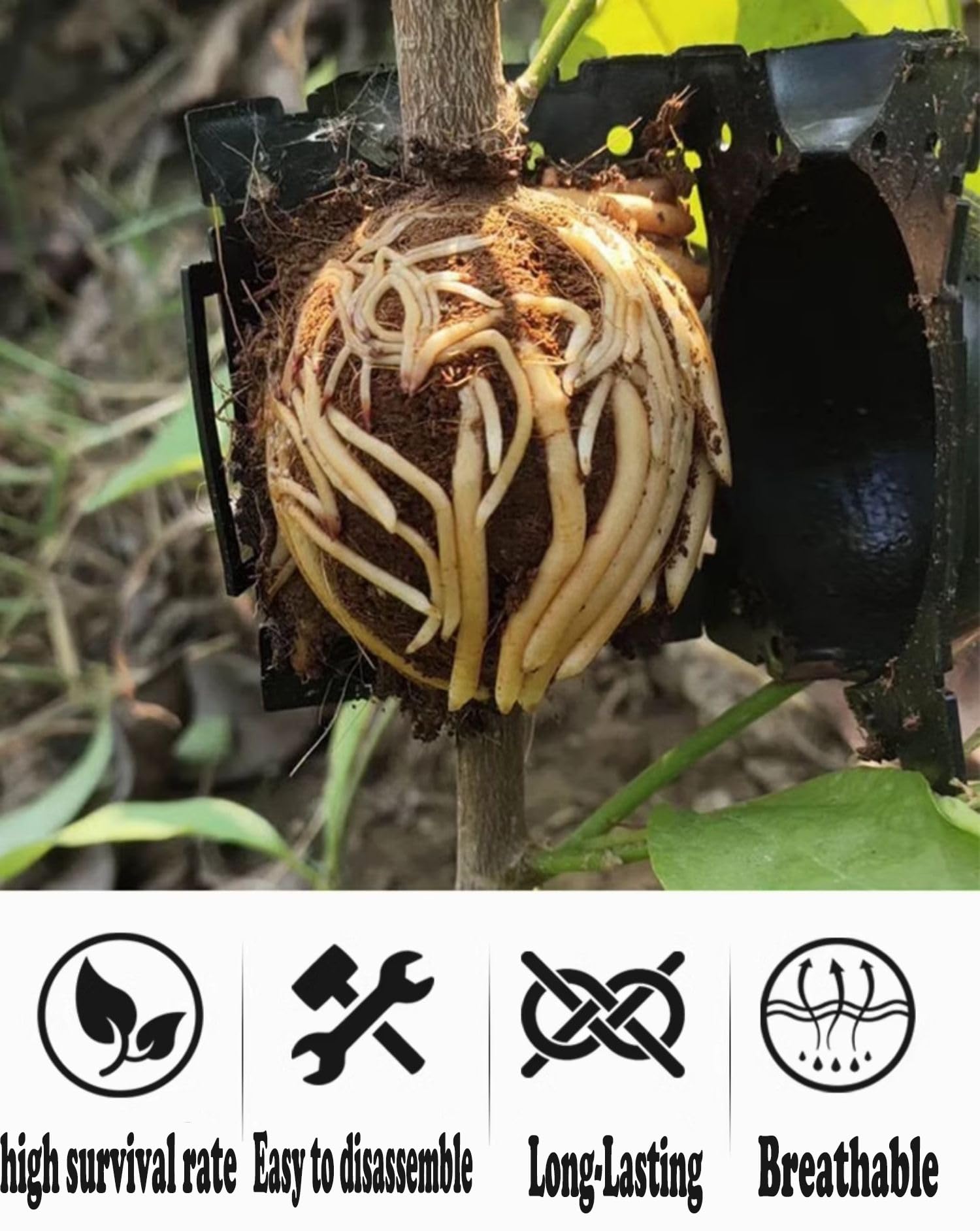 Tree Root Box Reusable Plant Root Growing Boxes With Zip Ties Elsjoy 30-Pack Plant ...