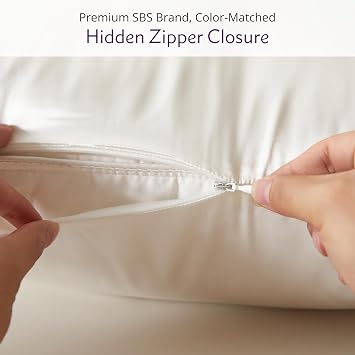 Mulberry Park Silks Mulberry Park 100% Silk Pillowcase - 22 Momme, Grade 6A Mulberry Silk - Hidden Zipper Closure with Knife-Edge - Plum/Euro Sham (26'' x 26'')