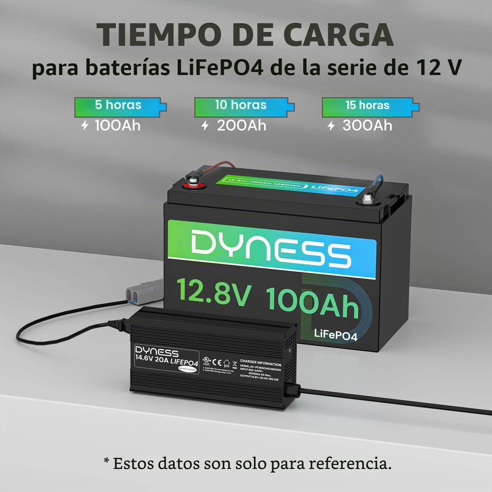 Dyness Cargador LiFePO4 14,6V 20A para Baterías 12V de Litio