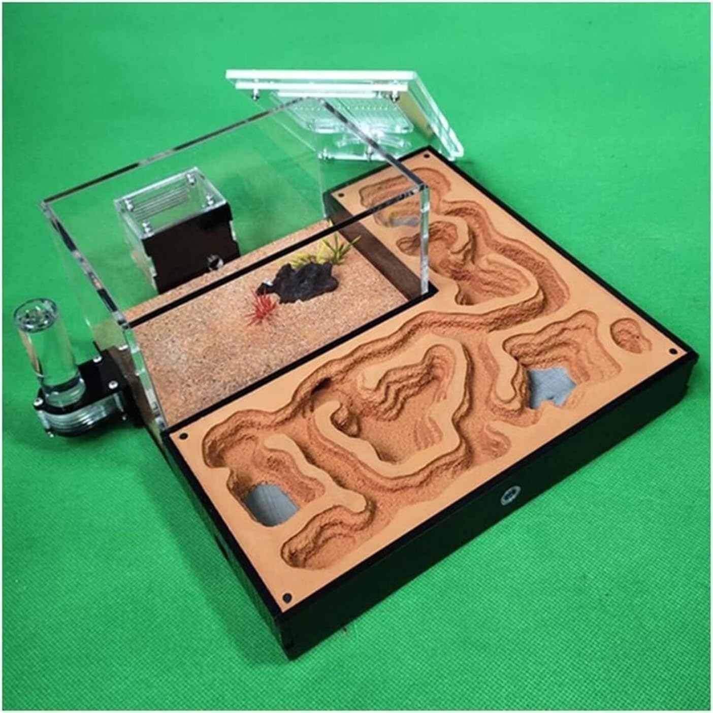 Formicaio per Riproduzione Osservazione Classico Formicaio in Gesso Acrilico Castello delle Formiche Piatto Habitat Area di Alimentazione Laboratorio Esperimenti