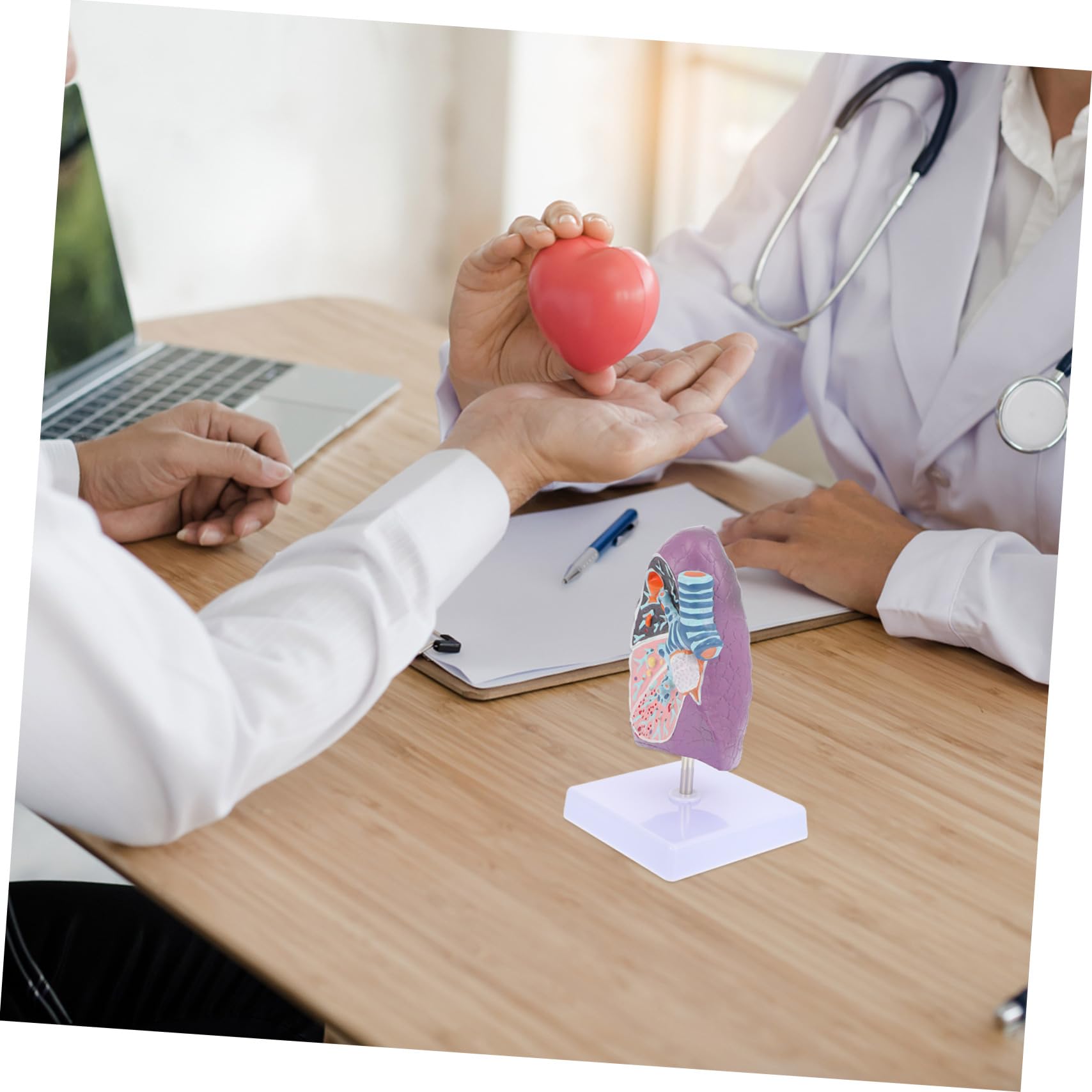 Modèle Pulmonaire D'anatomie Pathologique pour Enseignement Médical