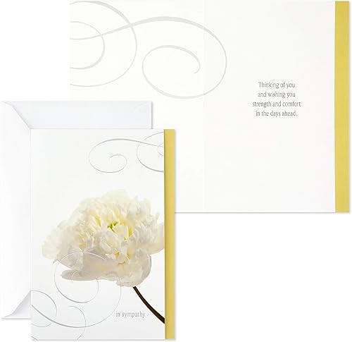 Miniatura 4 de Hallmark Surtido de tarjetas de condolencias (flores, 12 tarjetas y sobres) y tarjetas de condolencias, acuarela verde (12 tarjetas surtidas de