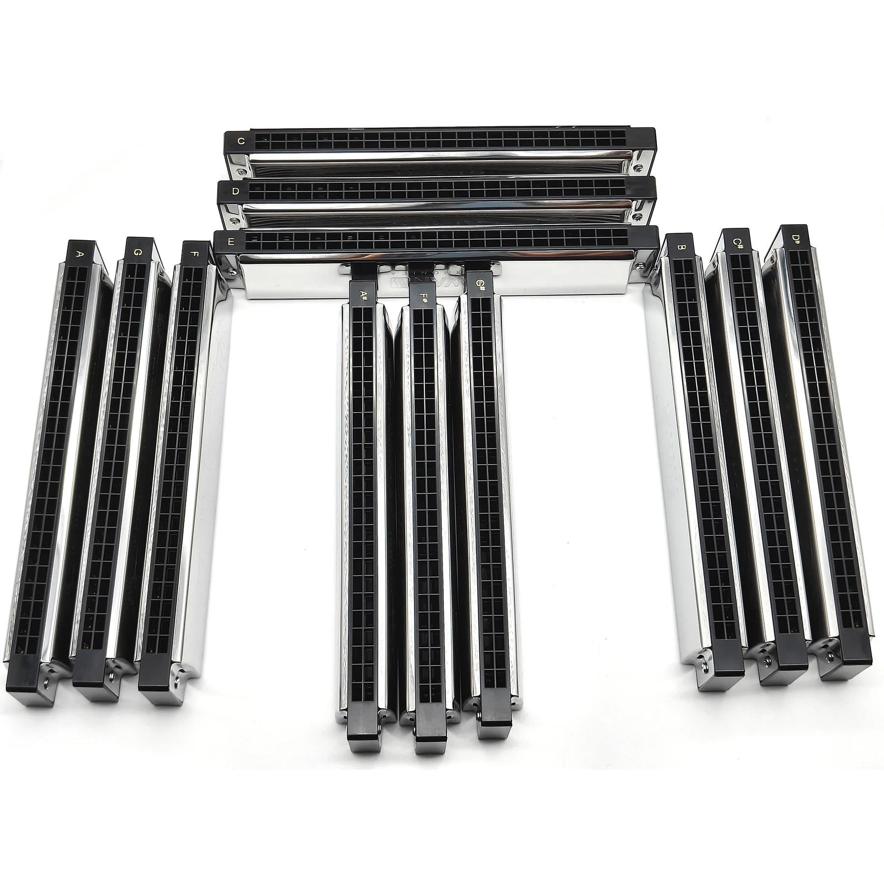 Armonica Blues Tremolo Chiave C Per Armonica A 24 Fori | Tremolo professionale per armonica a 24 fori chiave C per principianti, adulti, professionisti