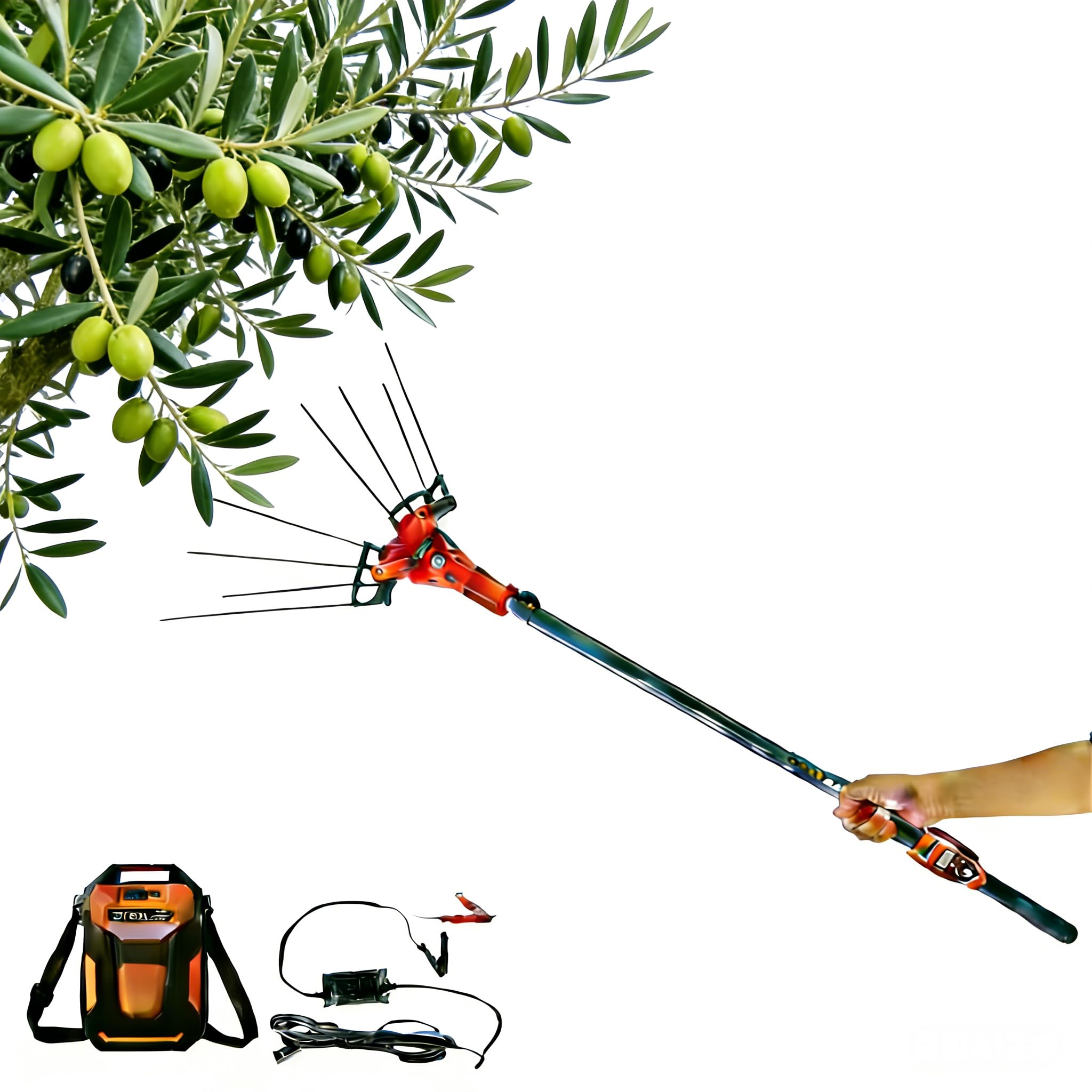 Recolector De Fruta Telescópico, De 175 A 270 Cm, con Mango Telescópico, Cable Alimentación De 10 Metros, Velocidad Ajustable Alta Y Baja, Apto para Recoger Aceitunas, Robles, Cerezas
