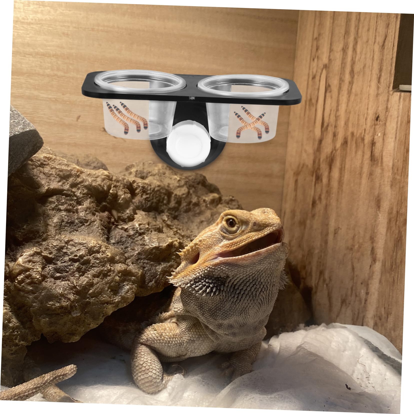 CORHAD Reptile Food and Water Bowl Container with Suction Cups for Lizards Turtles Geckos Easy to Clean Space Saving Feeding Supplies