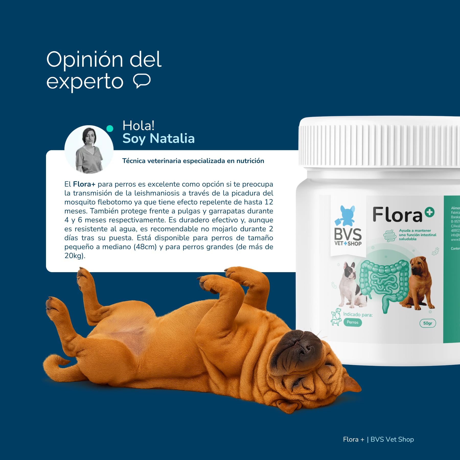 BVS Vet Shop | Flora Plus Probióticos para Perros | Ayuda a Mantener una Flora intestinal equilibrada y Saludable en tu Mascota |