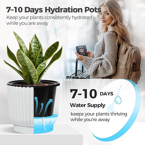 Miniatura 4 de T4U - Macetas para plantas de interior, 6 unidades de plástico para todas las plantas como flores y violetas africanas de casa., Blanco