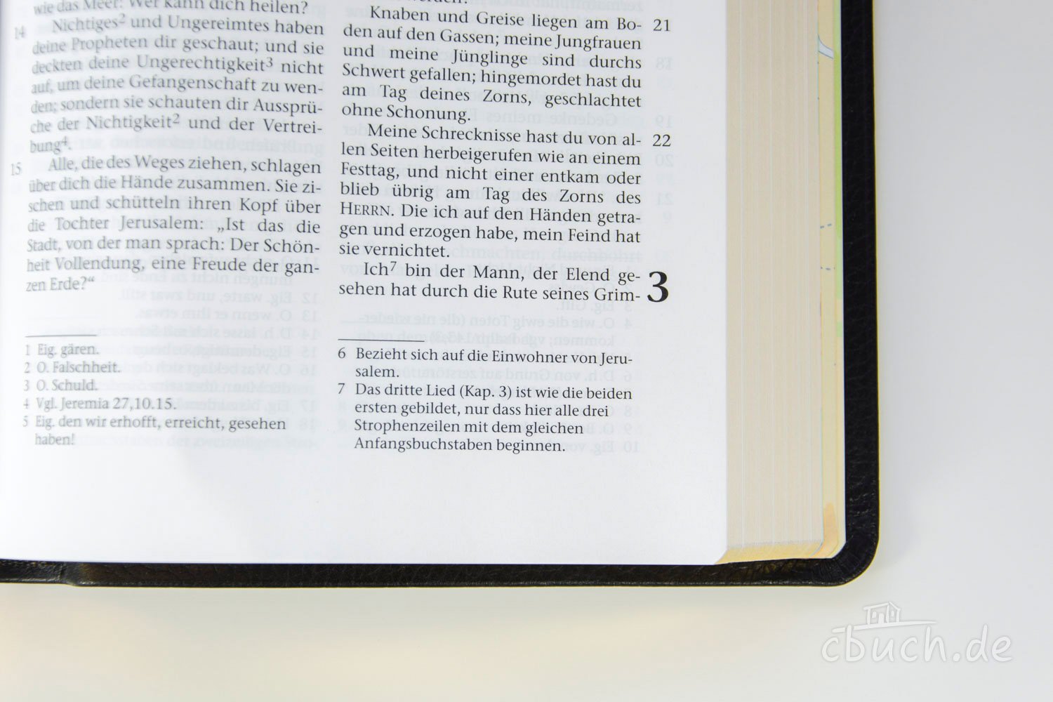 Die Bibel - Großausgabe (Leder): Elberfelder Überarbeitung 2003, Edition CSV-Hückeswagen, Hausbibel, feines Kalbsleder, schwarz, flexibel, Goldschnitt, mit Karten