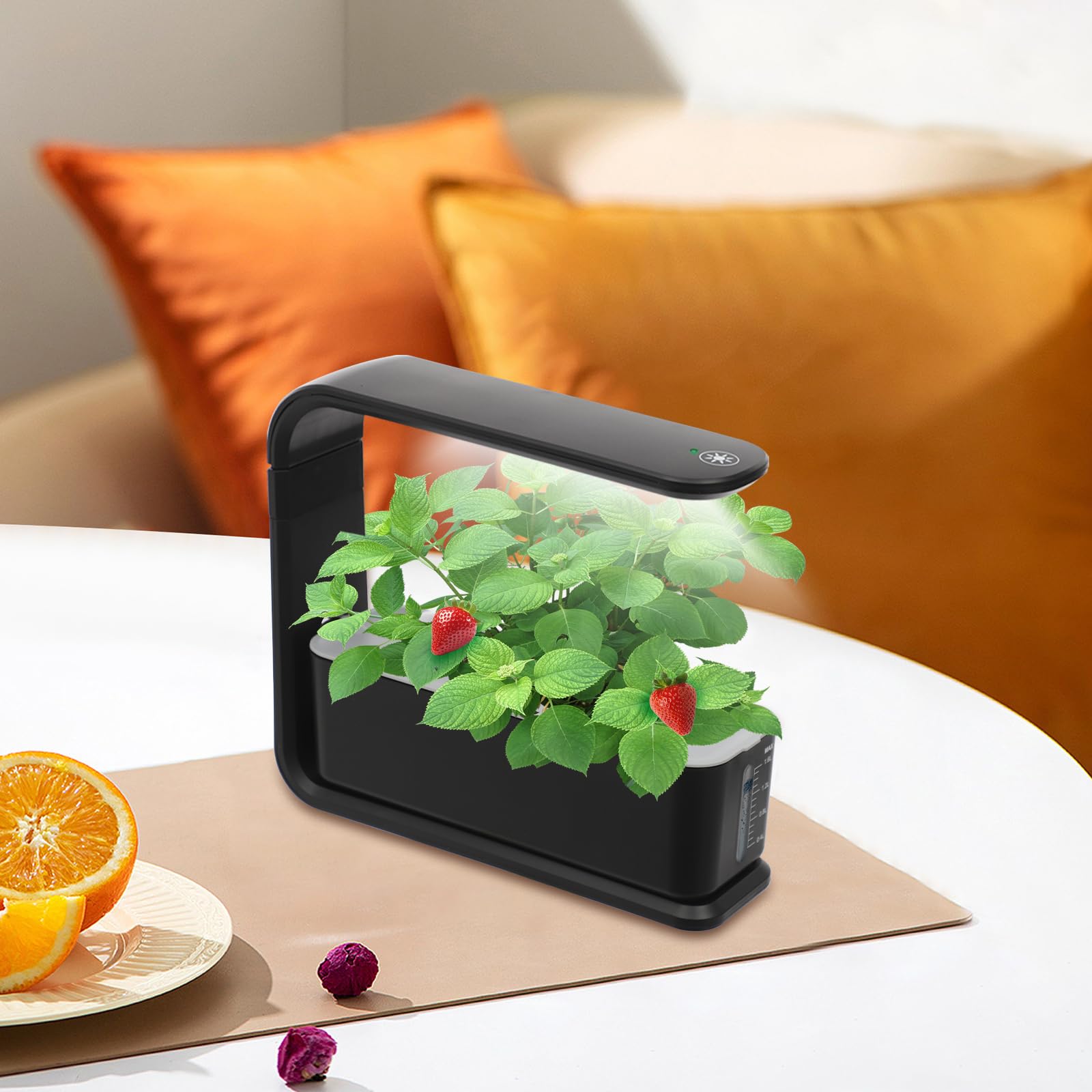 Kit de plantador hidropónico interior, Jarrón hidropónico con luz de crecimiento | Sistema de cultivo hidropónico con 3 cestas para plantar, hermosa estación de reproducción de plantas para el hogar (negro)
