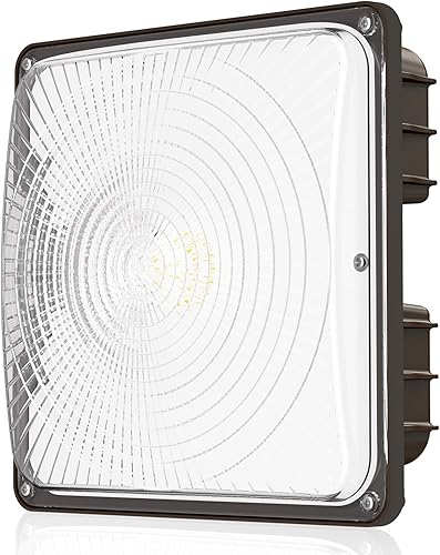 Cinoton Luz LED de toldo de 40 W, 5600 lúmenes (reemplazo HID de 160 W), luz diurna impermeable de 5000 K para garaje, tienda, AC100-277 V,