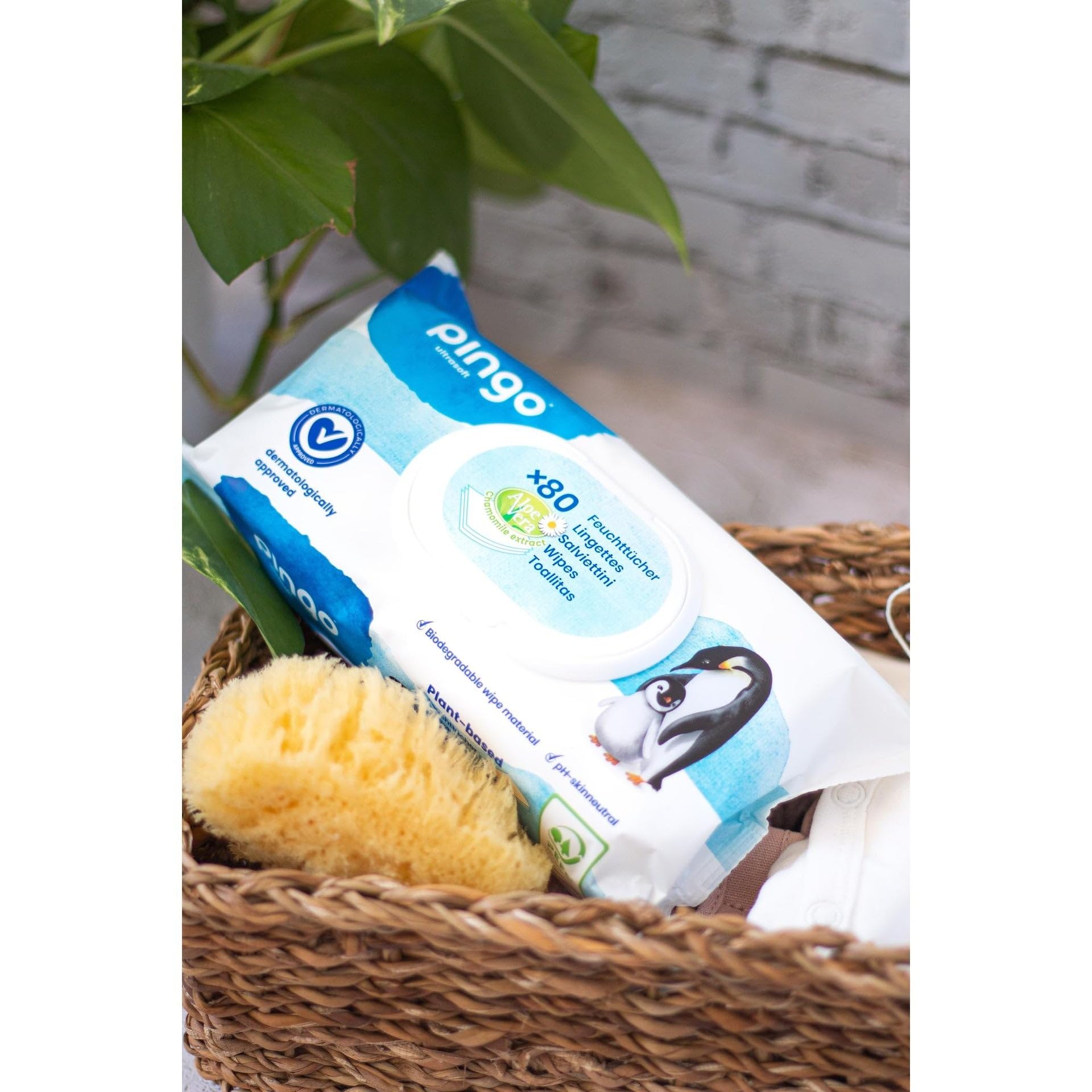 Pack 12 x Toallitas húmedas 100% biodegradables Pingo 80 uds