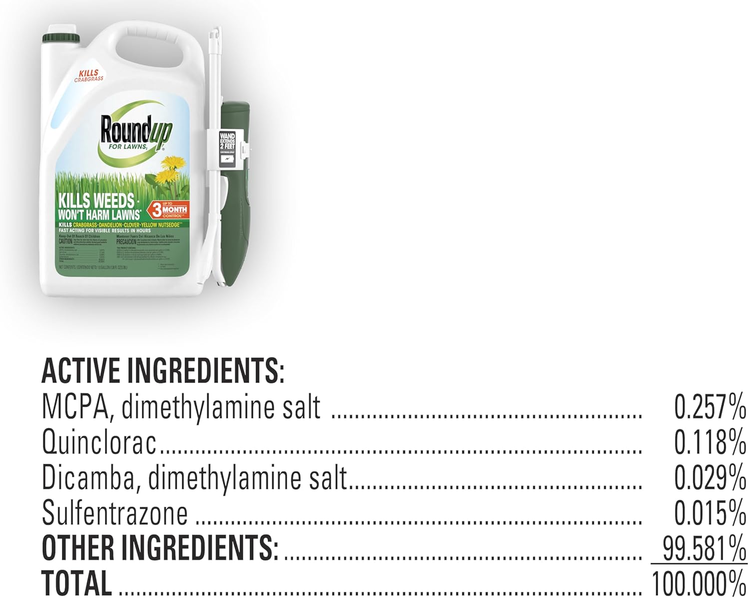 Roundup for Lawns₁ Ready-to-Use with Extended Wand, Tough Weed Killer for Use on Northern Grasses, 1 gal.