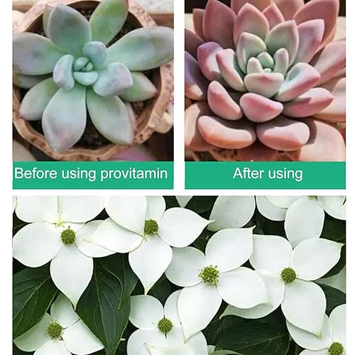 Miniatura 3 de Estimulador de raíces para plantas | 1.7 fl oz Promotor de propagación de plantas de interior, estimulador de raíces, solución concentrada de