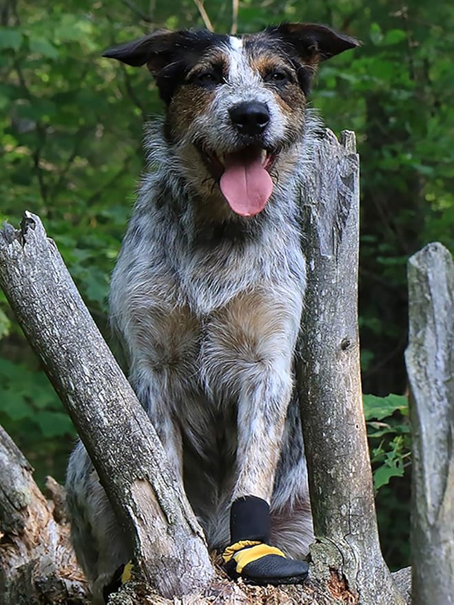 all weather muttluks