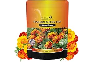 Bulk 5600+ Aztec Marigold Seeds