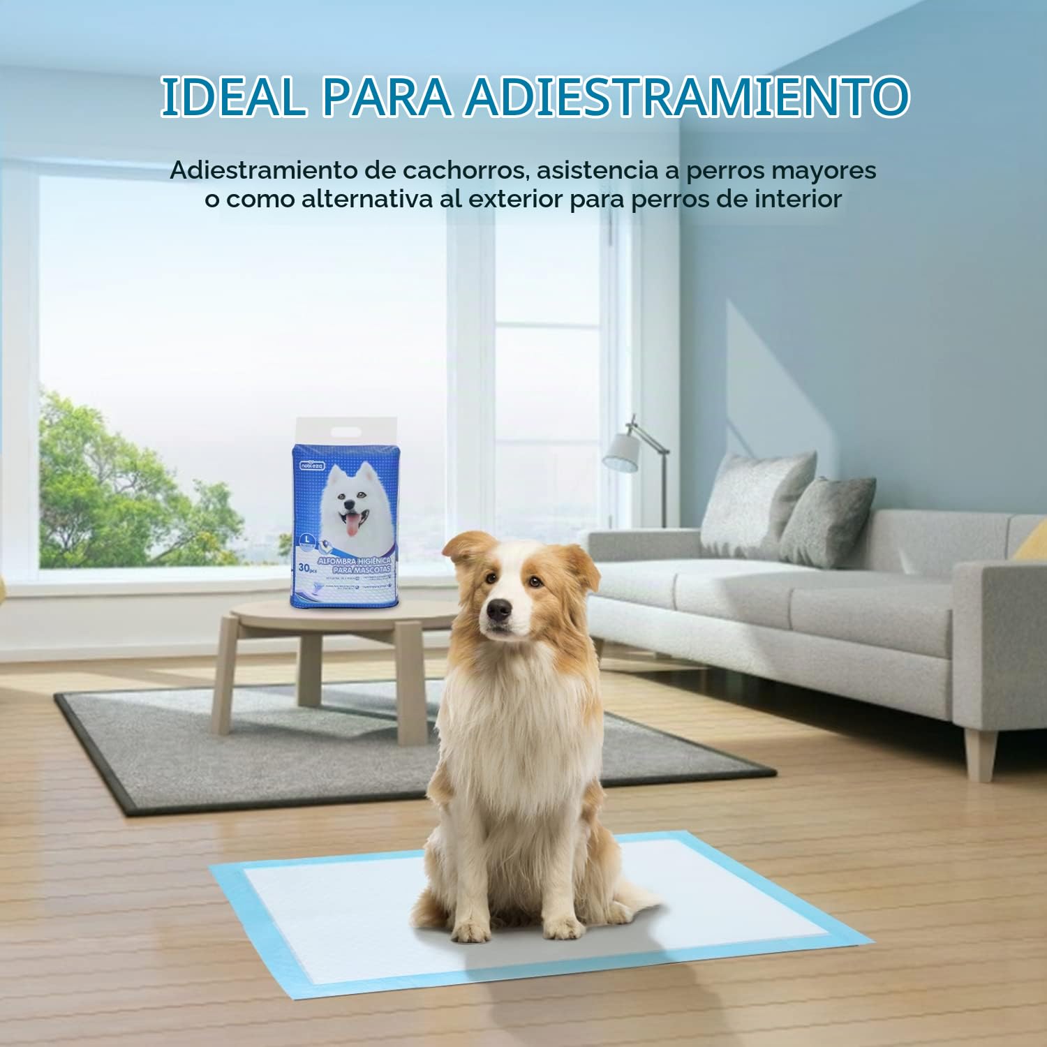 Nobleza - 120 x Empapadores Perros Alfombrilla higiénica de Entrenamiento para Perros. Ultraabsorbente 90cm*60cm Azul