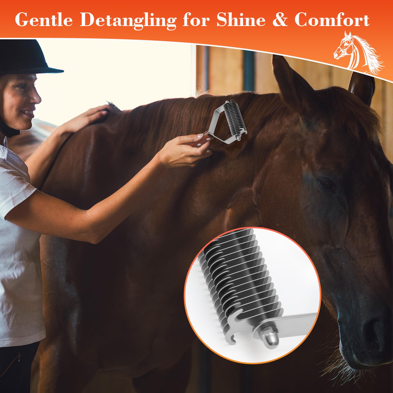 Toilettage Cheval Brosse, Toilettage Massage Brush Cheval avec Porte-Peignes en Cuir,Convient aux Chevaux, Chats, Chiens (Manche en Bois)