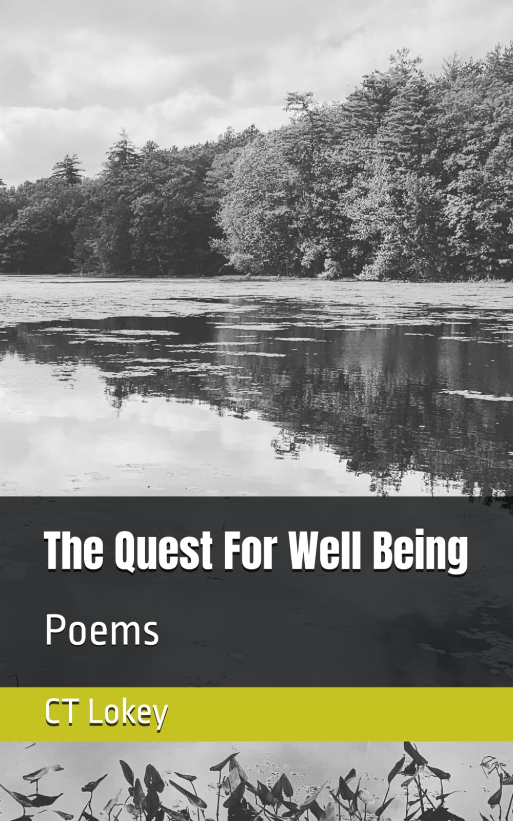 The Quest For Well Being: Poems