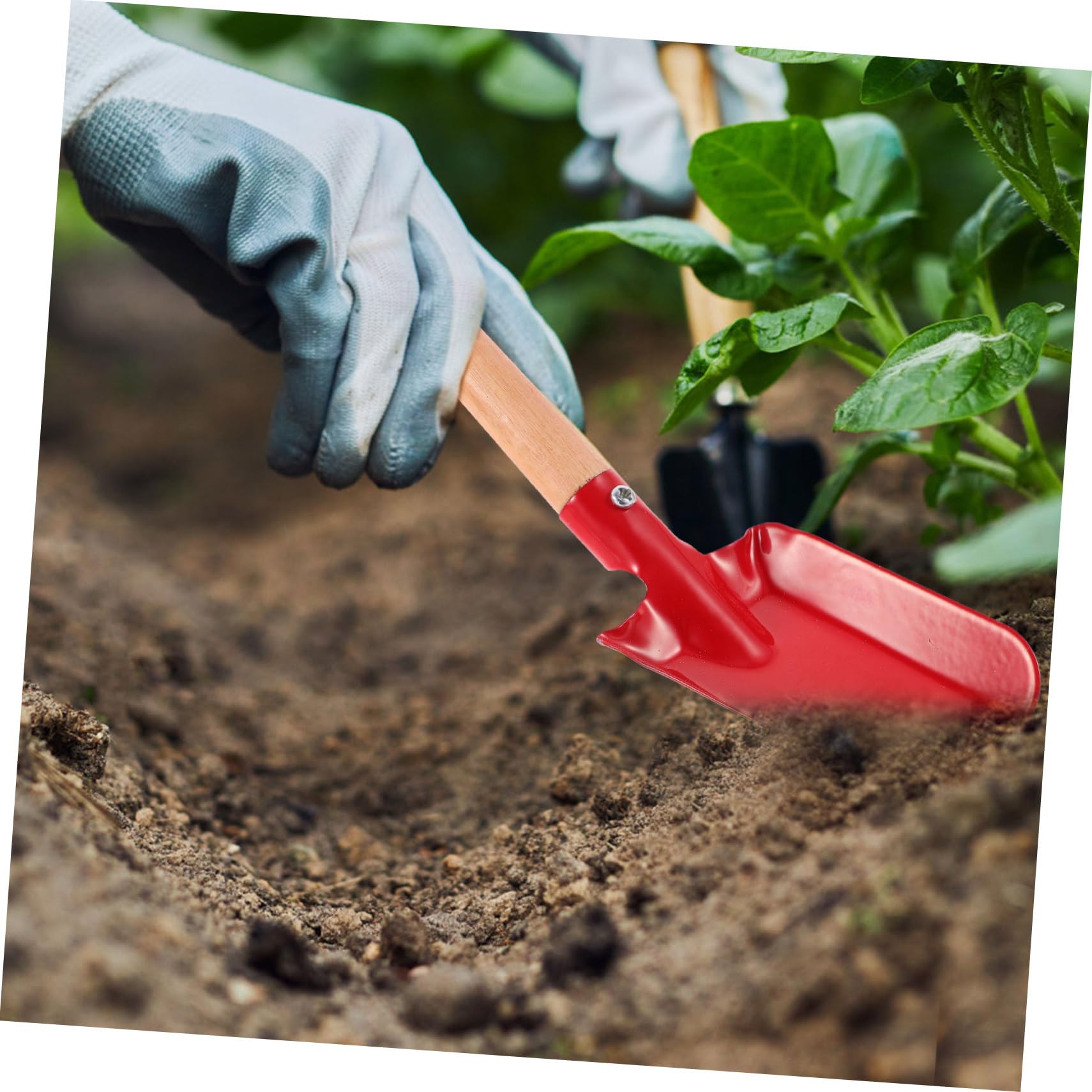Toddmomy 5 set Piantare Piccole Pale Cazzuola Manuale Per Giardinaggio Ad Alta Resistenza Attrezzi Da Giardinaggio Piccola Vanga Da Giardino Forniture Per Giardinaggio 2 pezzi * 5