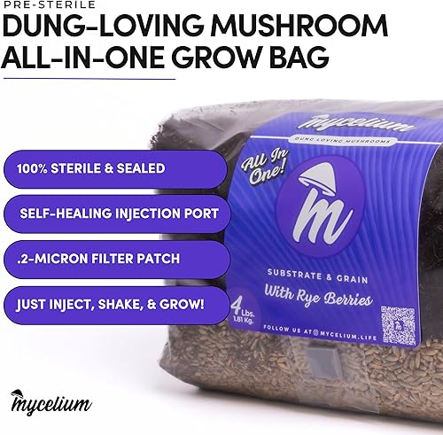 Miniatura 3 de Mycelium Kit de cultivo de hongos de 4 libras  Bolsa de grano de sustrato CVG y bayas de centeno todo en uno  Pre-esterilizado con puerto de