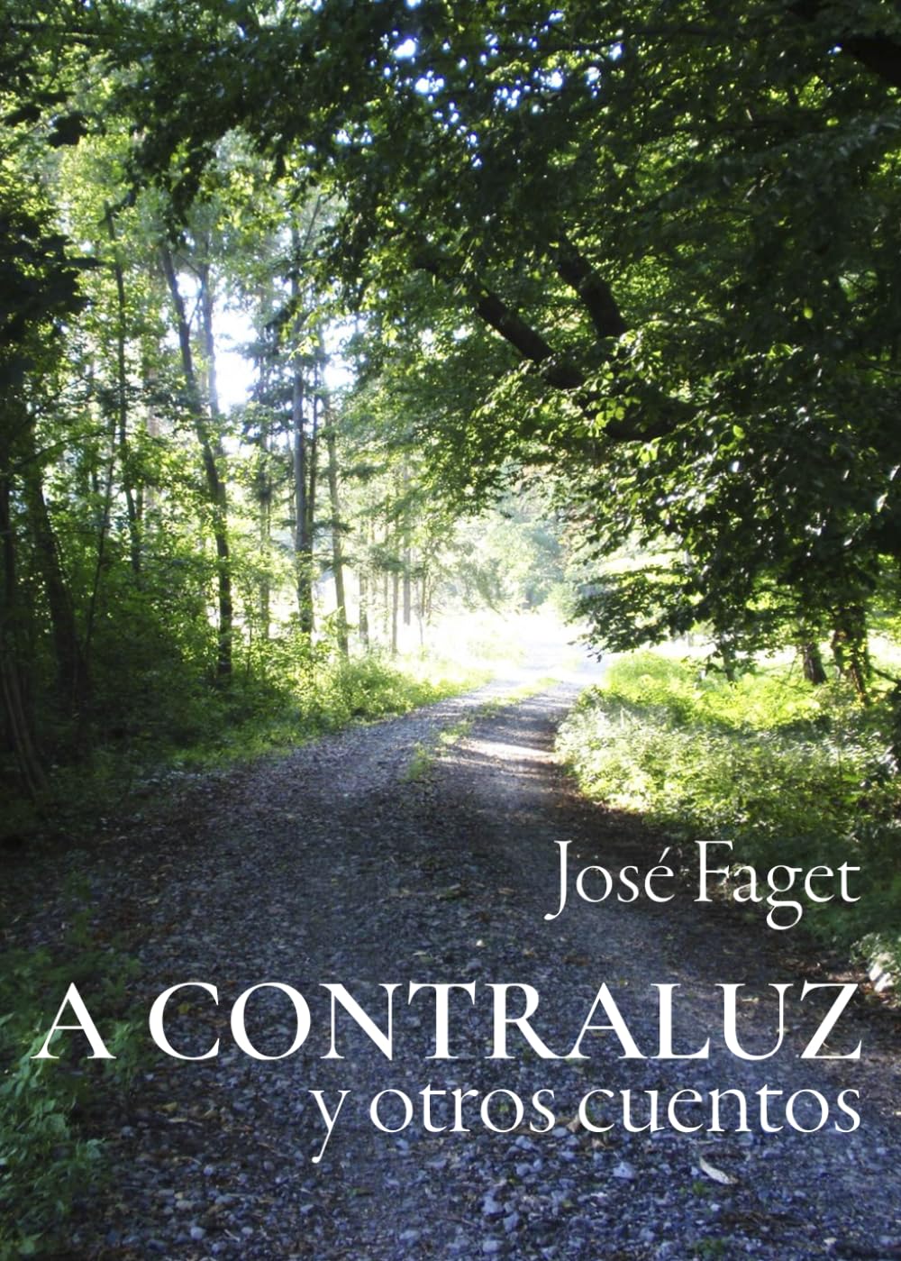 A contraluz: y otros cuentos