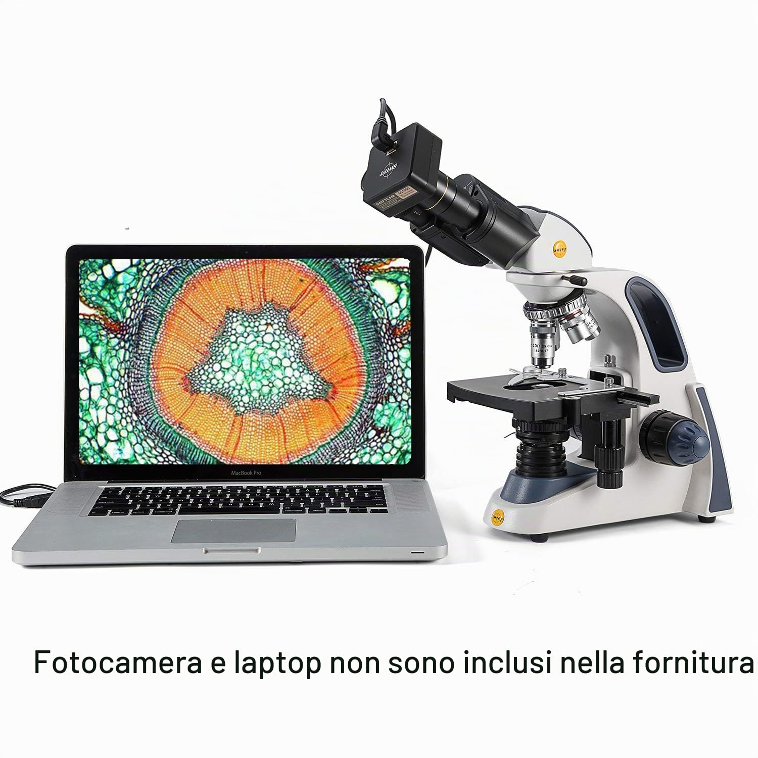 SWIFT Microscopio Binoculare Composti SW380B,40X-2500X,Microscopio da Laboratorio a Livello di Ricerca con Oculari Wide-field 10X e 25X, Testa Siedentopf