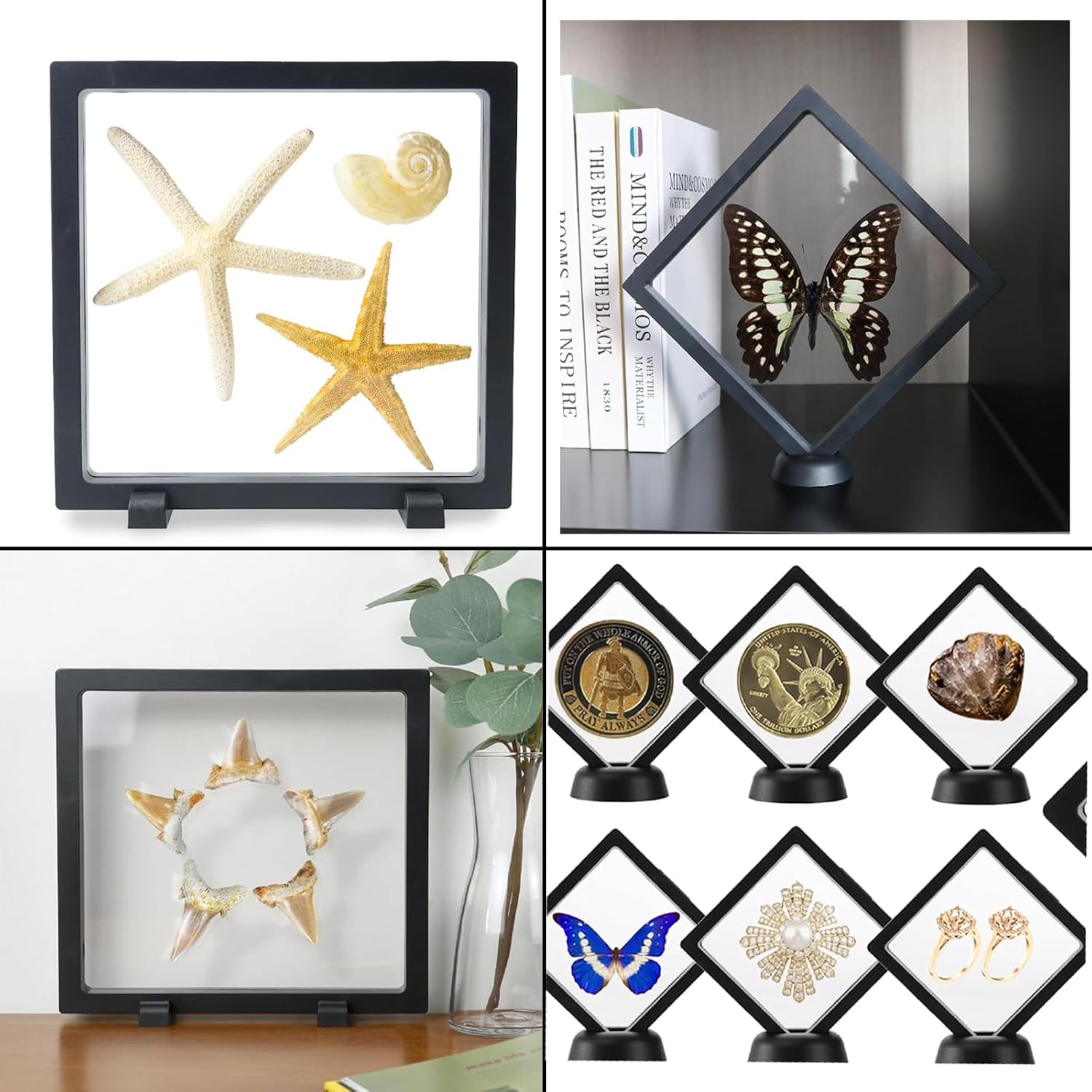 2pack Shark Tooth Holder, Sealed Box for The Shark Tooth Display Case, Shark Teeth Holder to Prevent Dust and Oxidation, 3D Floating Display for Shark Tooth Holder