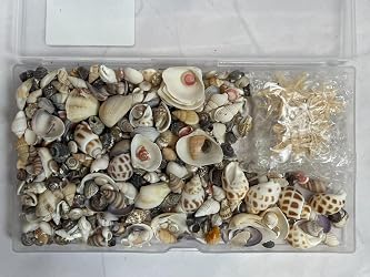 ubuy Mauritius